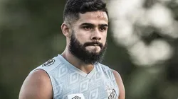 Foto: Ivan Storti/Santos FC