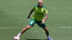 Foto: César Greco/ Palmeiras