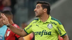 Foto: Cesar Greco/Palmeiras