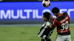 Thiago Ribeiro/AGIF/ Botafogo tenta quebrar hegemonia do Flamengo no "Clássico da Rivalidade"