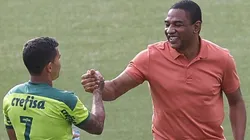 Foto: Cesar Greco - Sociedade Esportiva Palmeiras