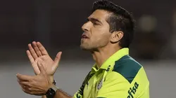 - Abel é o comandante palmeirense