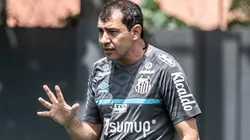 Foto: Ivan Storti/Santos FC