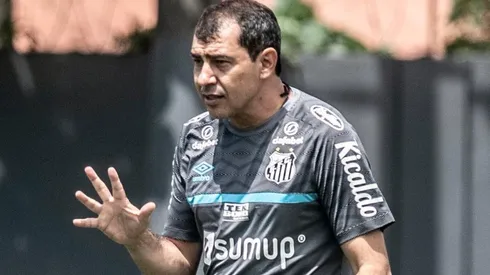 Foto: Ivan Storti/Santos FC