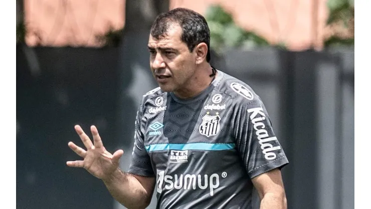 Foto: Ivan Storti/Santos FC
