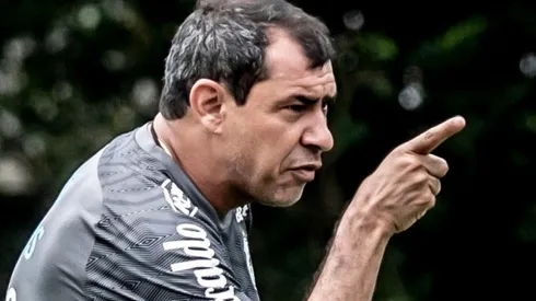 Foto: Ivan Storti/Santos FC