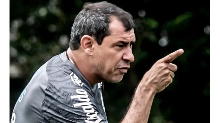 Foto: Ivan Storti/Santos FC