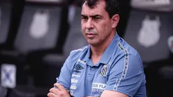 Foto: (Ettore Chiereguini/AGIF) - Fábio Carille não esconde que deseja a contratação de um volante para ser titular no Santos