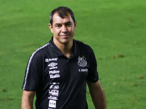 Com números impressionantes, atacante se torna essencial para Santos de Fábio Carille