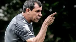 Foto: Ivan Storti/Santos