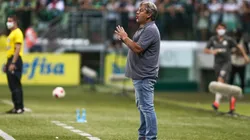 PAULISTA 2022, PALMEIRAS X PONTE PRETA