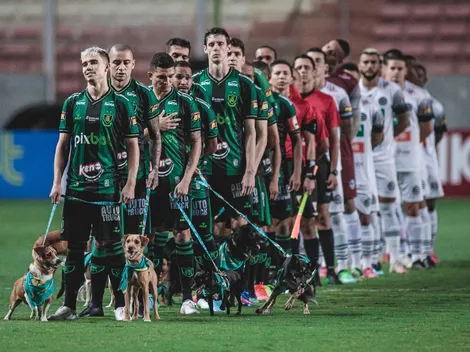 América-MG entra em campo com cães impactados pelo rompimento da barragem em Brumadinho