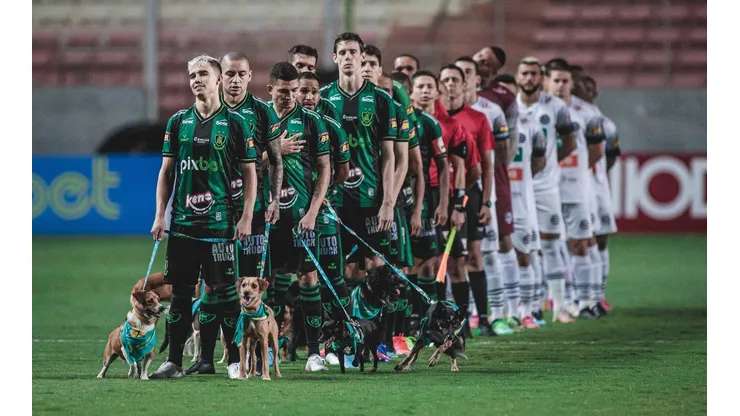 América-MG fez ação para adotarem cães impactados por Brumadinho (Foto: VinniSilva - Portrel Imagens)
