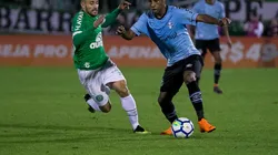 Foto: Liamara Polli/AGIF