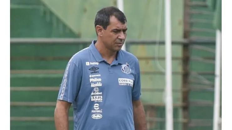 Foto: (Flickr Oficial Santos/Ivan Storti/Santos FC) - Carille expôs que o Santos projeta a chegada de um novo reforço para suprir uma carência do elenco