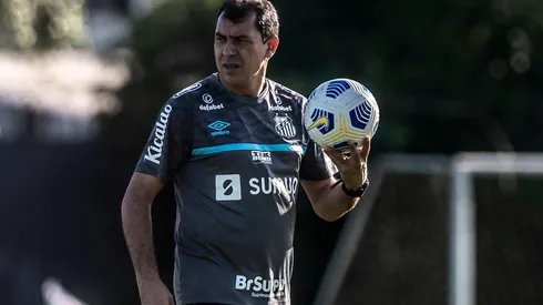Foto: Ivan Storti/Santos FC/Divulgação - Carille: admite a necessidade de um novo reforço específico no Peixe