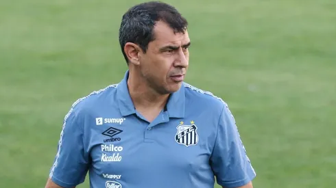 – Carille é técnico do Peixão