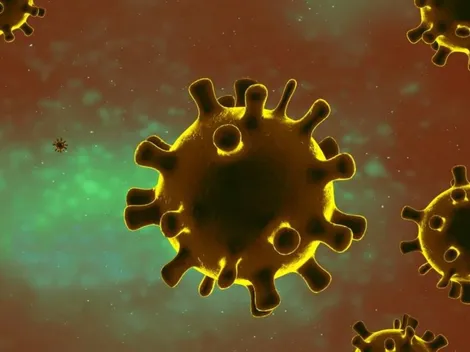Subvariante da ômicron já se espalha por 57 países; OMS informa que mundo teve aumento no número de mortes por Covid