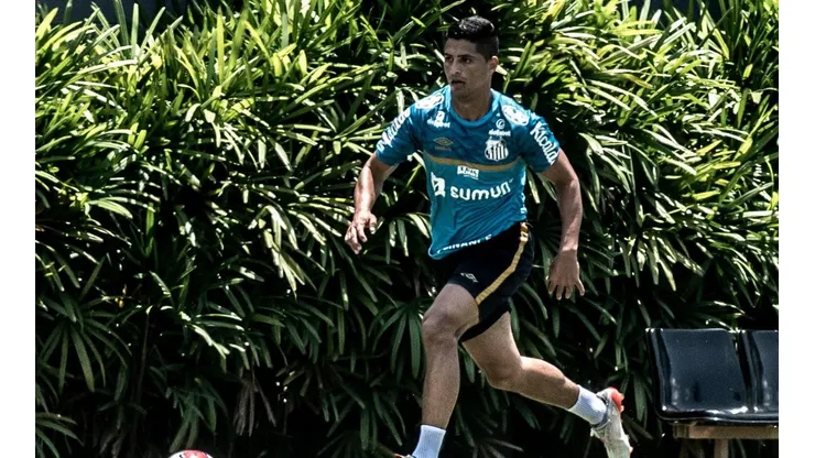 Foto: Ivan Storti/ Santos