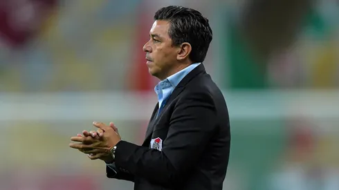 Foto: Thiago Ribeiro/AGIF - Gallardo quer atacante desejado pelo Palmeiras