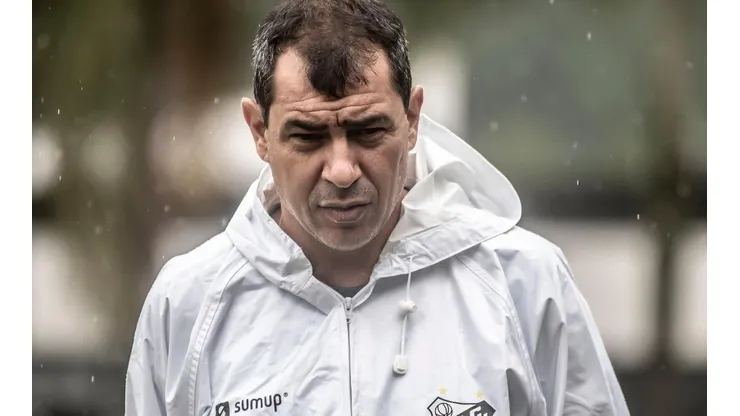 Foto: Ivan Storti/Santos FC/Divulgação - Carille: tem boa relação com o meio-campista