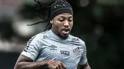 Foto: Ivan Storti/Santos