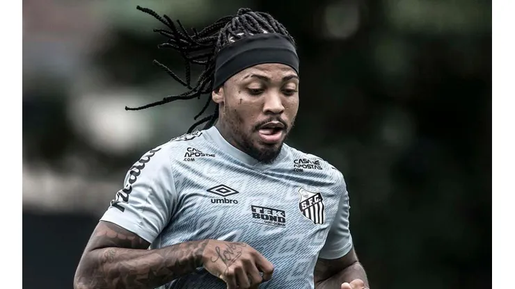 Foto: Ivan Storti/Santos