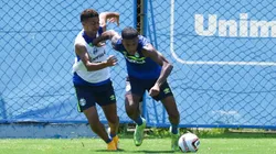 Foto: Renan Jardim/ Grêmio FBPA - Grêmio estreia contra o Caxias pelo Gauchão com time formado de guris da Transição