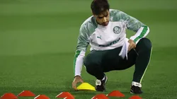 (Foto: Cesar Greco/Palmeiras/Flickr Oficial/Divulgação)