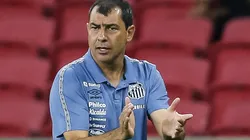 Foto: Pedro H. Tesch/AGIF