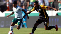 Foto: (Thiago Calil/AGIF) - Palmeiras e Novorizontino se enfrentaram neste domingo (23), mas o Flamengo 'ganhou' a web
