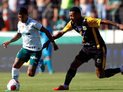 Repórter da Record chama Palmeiras de Flamengo e 'quebra' a web