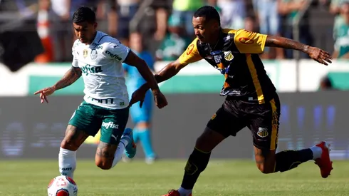 Foto: (Thiago Calil/AGIF) - Palmeiras e Novorizontino se enfrentaram neste domingo (23), mas o Flamengo 'ganhou' a web