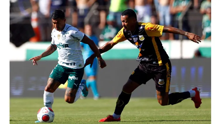 Foto: (Thiago Calil/AGIF) - Palmeiras e Novorizontino se enfrentaram neste domingo (23), mas o Flamengo 'ganhou' a web
