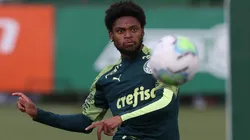 Foto: César Greco/ Palmeiras