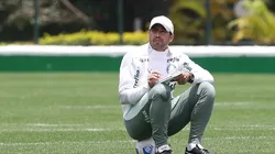 Foto: César Greco/ Palmeiras