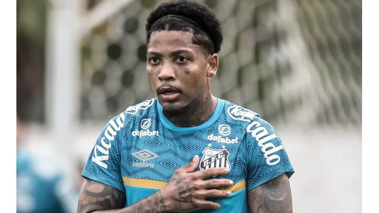 Foto: Ivan Storti/Santos FC