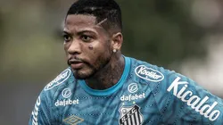 Foto: Ivan Storti/Santos