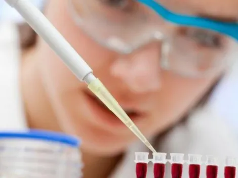 Laboratório de São Paulo terá de indenizar mulher por teste de DNA; vítima alega danos morais após falso negativo