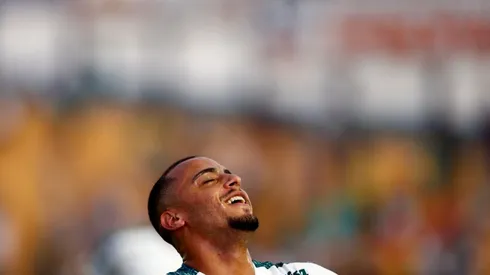 Paulista 2019, Novorizontino x Palmeiras