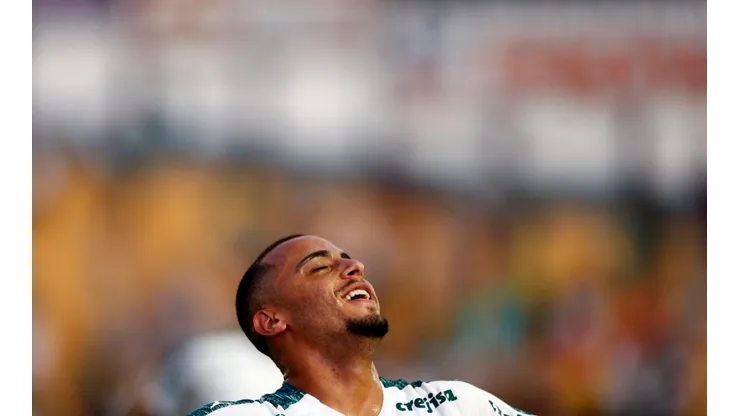 Paulista 2019, Novorizontino x Palmeiras