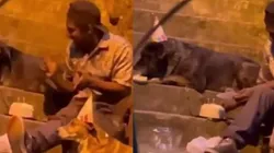 Choco e seus cachorros, Nena e Shaggy.