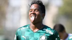 Foto: César Greco/ Palmeiras