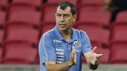 - Carille tem carta branca no Peixão