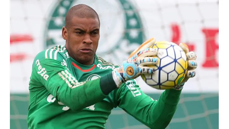 Foto: Flickr Oficial Sociedade Esportiva Palmeiras