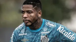 Foto: Ivan Storti/Santos