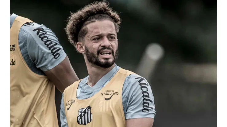 Foto: Ivan Storti/Santos FC