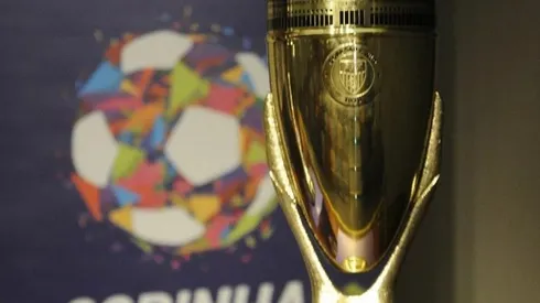 Taça da Copinha 2022 (Foto: Rodrigo Corsi / FPF)