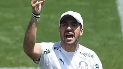 Foto: Cesar Greco - Sociedade Esportiva Palmeiras