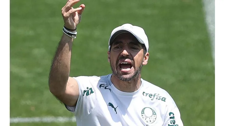 Foto: Cesar Greco - Sociedade Esportiva Palmeiras